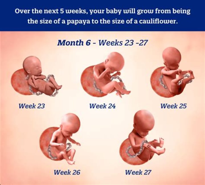How long does a baby have to live with you to claim on taxes?