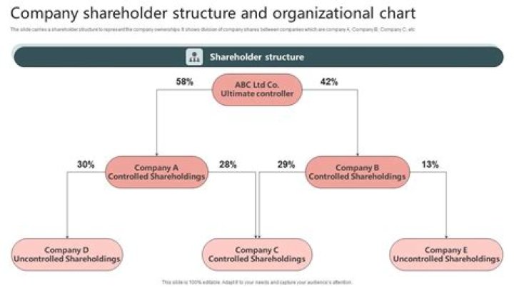 How many shareholders must a public company have?
