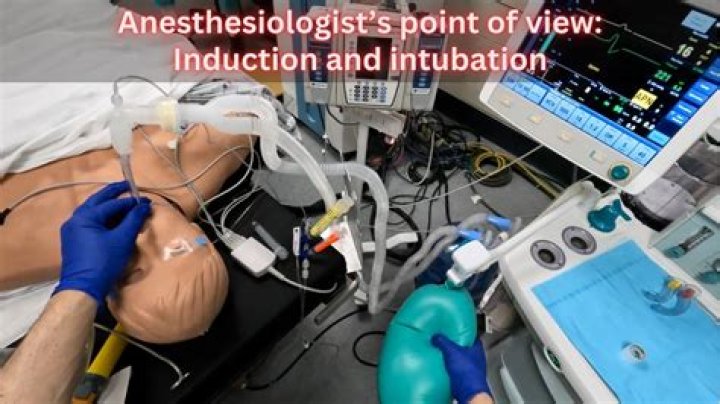 How many times can a dog be put under anesthesia?