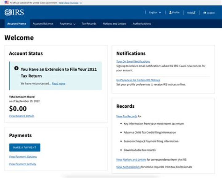 How many times can you access IRS website?