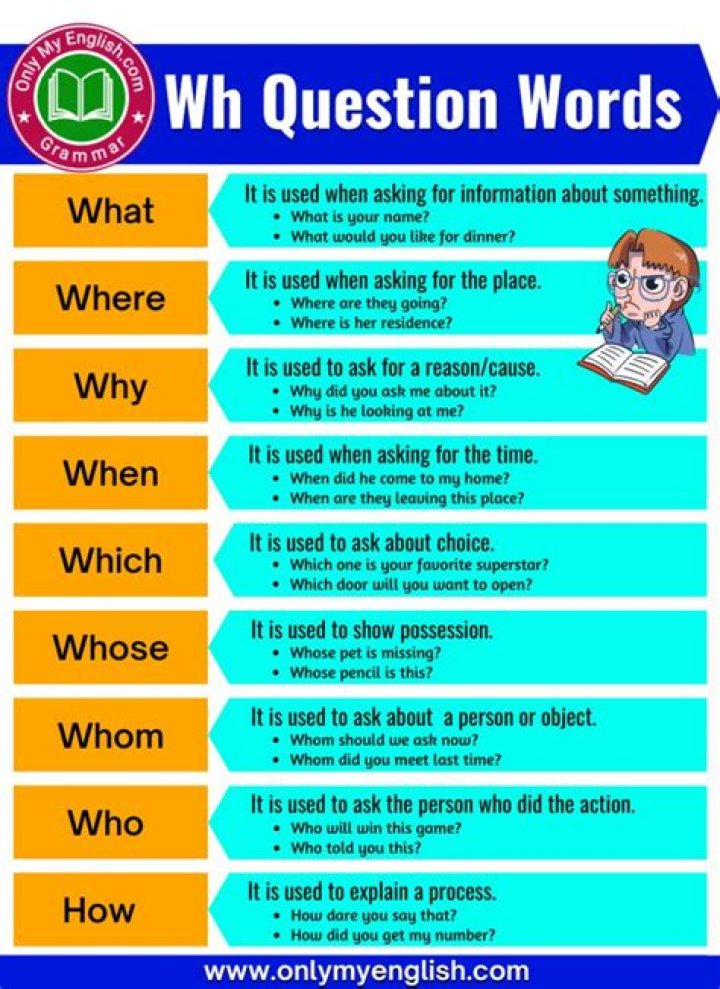 How many types of WH words are there?