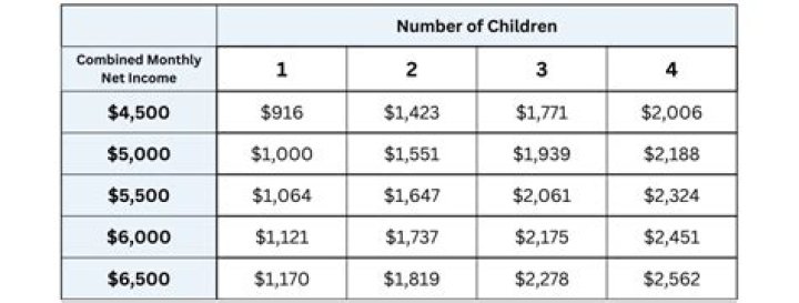 How much child support will I get in FL?