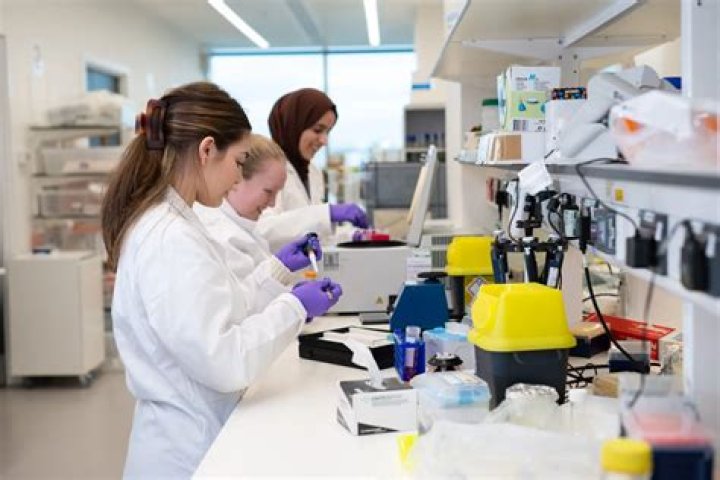 How much do court researchers make?