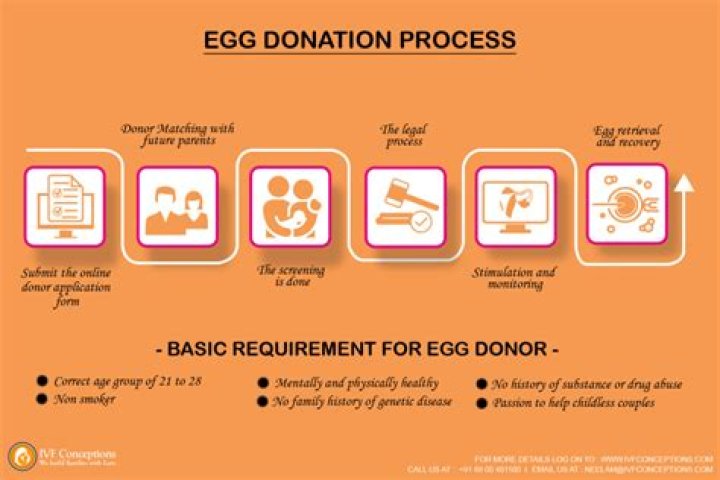 How much do egg donors get paid in Ohio?