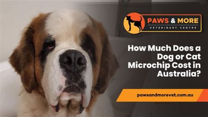 How much does it cost to buy Word and Excel?