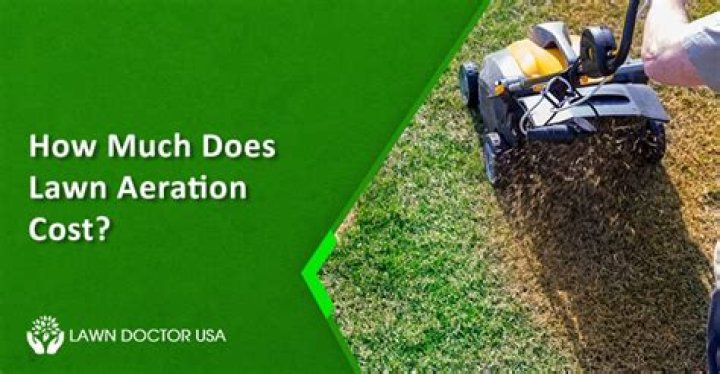 How much does it cost to have a company maintain your lawn?