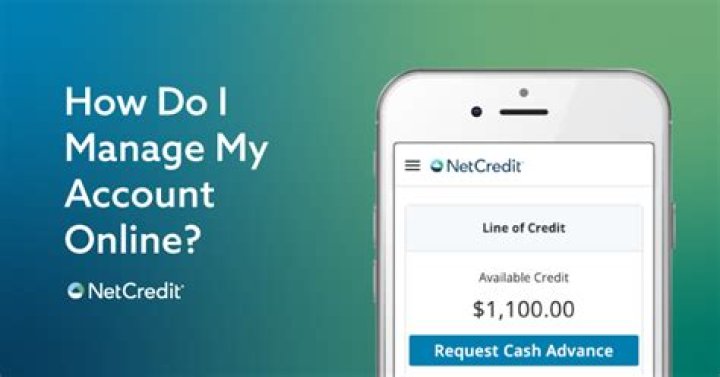 How much interest does NetCredit charge?