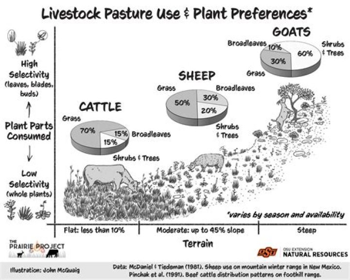 How much is pasture land worth per acre in Oklahoma?