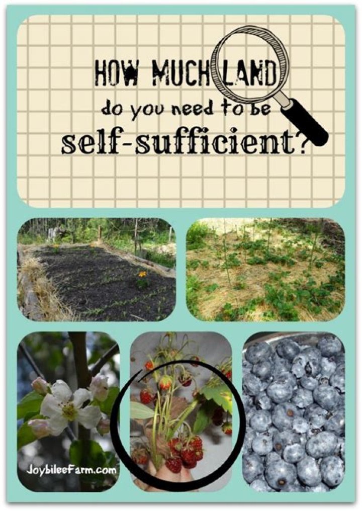 How much land do you need to farm to make a living?