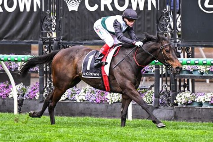 How much was Makybe Diva bought for?