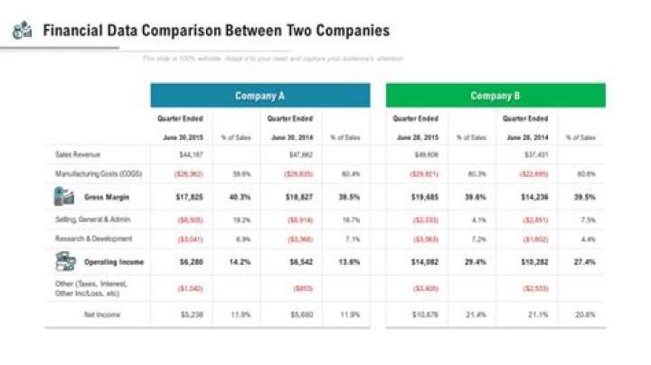 In what way the company would be able to raise funds?