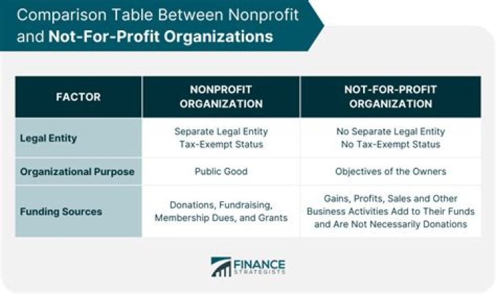 Is a non profit organization government owned?