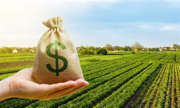 Is farm income self employment income?
