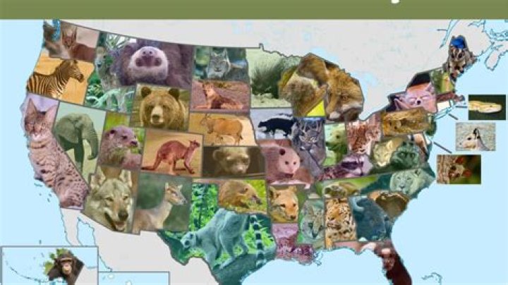 Is it illegal to spy on your spouse in Pennsylvania?