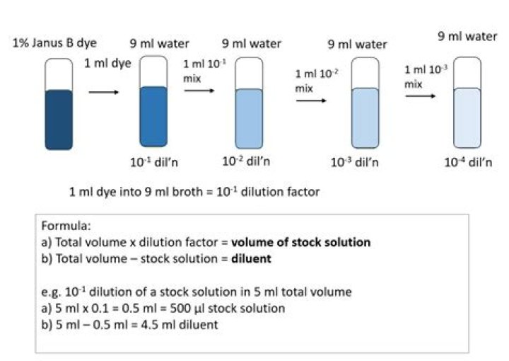 Is it OK to dilute wine with water?