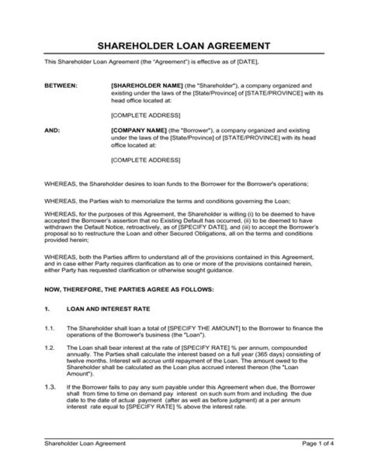 Is loan from shareholder an asset?
