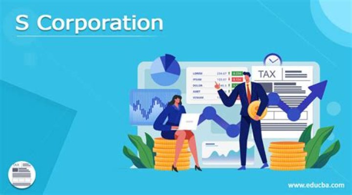 Is S corporation non profit?