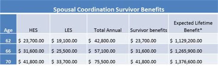 Is spousal support considered earned income?