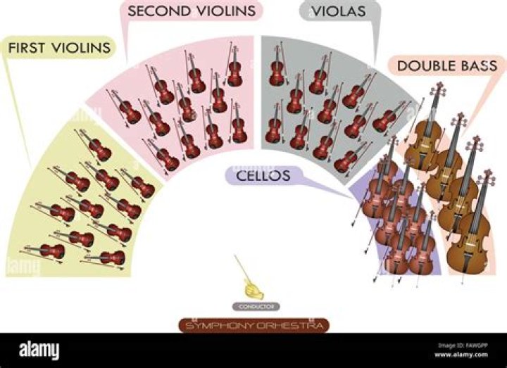 Is the viola an orchestral instrument?
