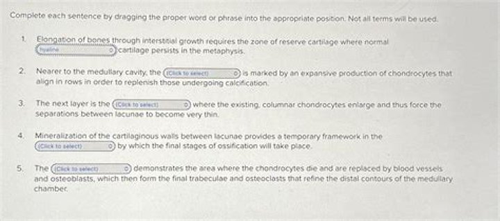 Selecting the Proper Dissertation Subject