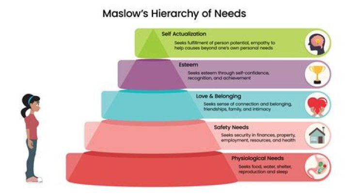 What a company needs from an employee?