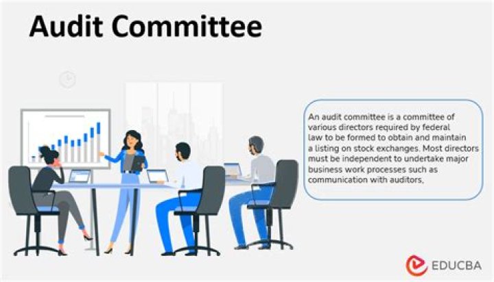What are auditors required to communicate to the audit committee?