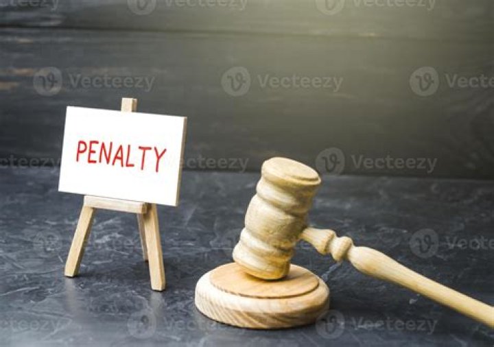 What are civil penalty provisions?