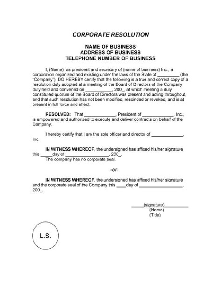 What are corporate documents for an S Corp?