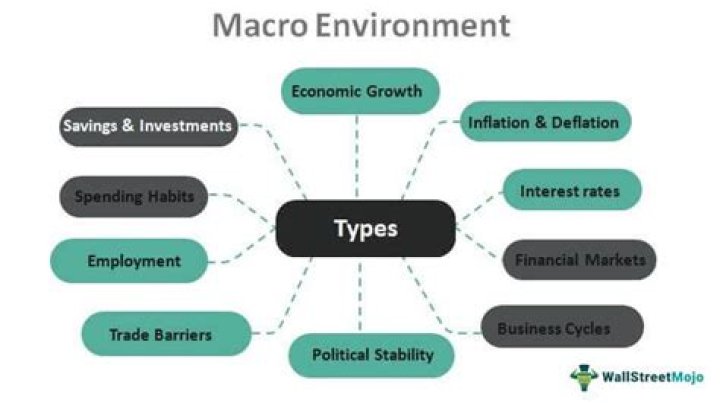 What are macro environment challenges?