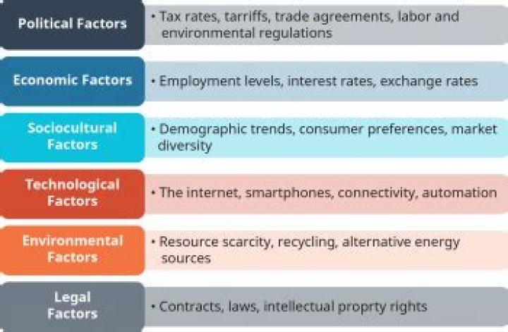 What are macro political risk events?