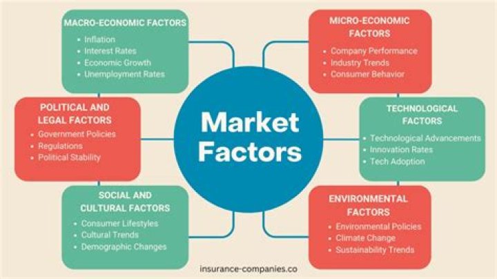 What are major market factors in healthcare?