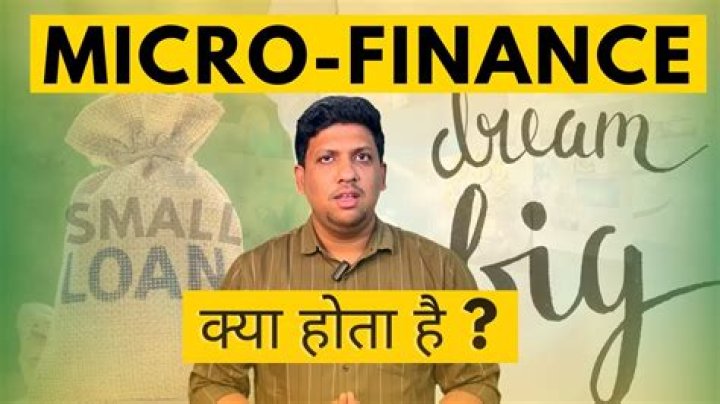What are micro finance loans?