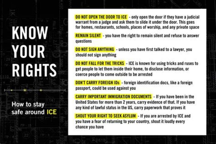 What are my rights as a small business owner?