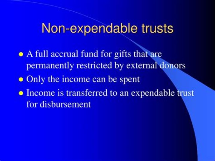 What are non-expendable assets?
