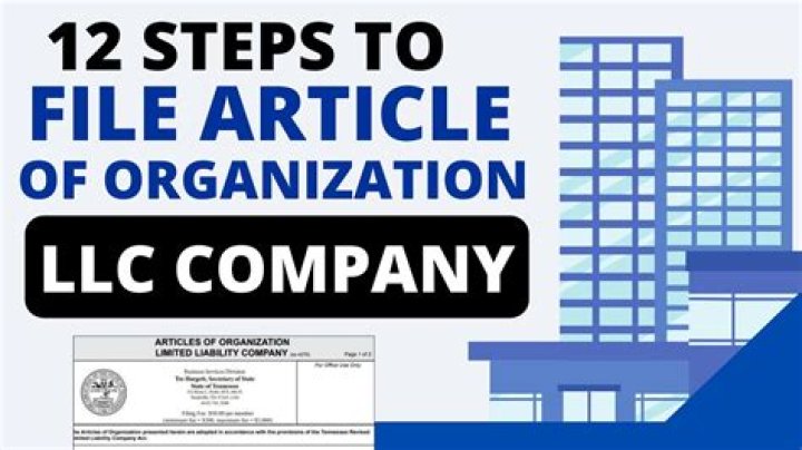 What are organizational documents for LLC?