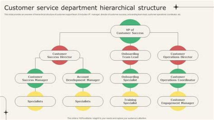 What are service departments give an example?