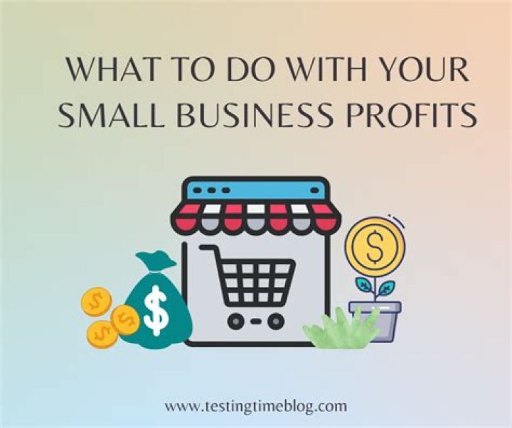 What are small business profits?