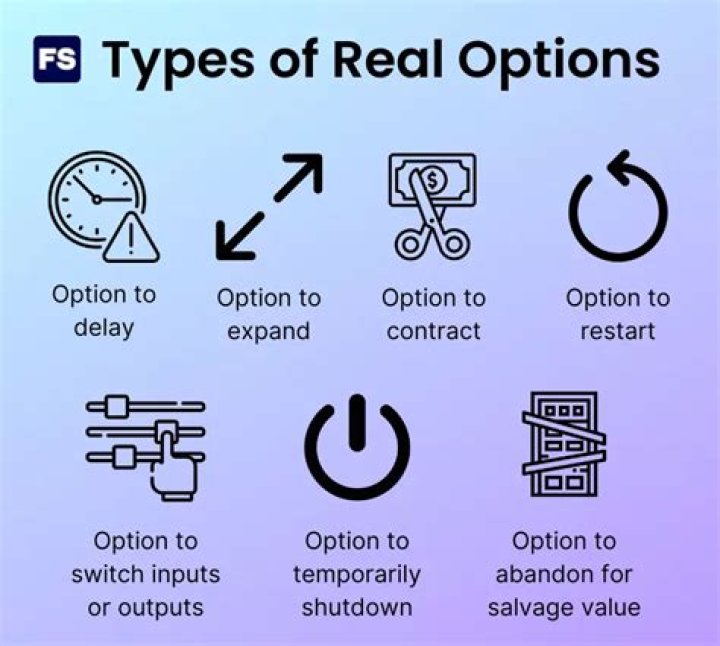 What are some types of real options?