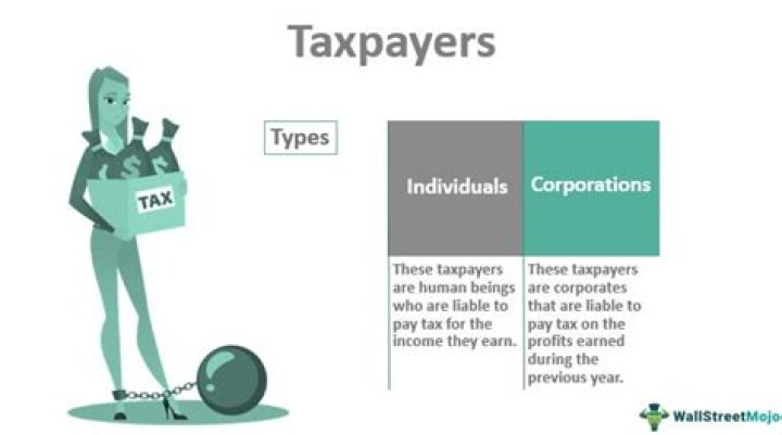What are taxpayers responsibilities?
