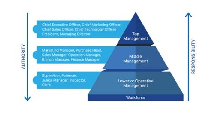 What are the 3 major managerial functions?