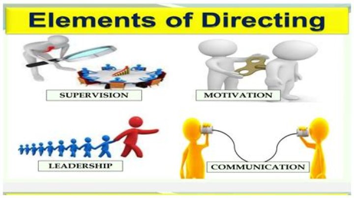 What are the 4 elements of directing?