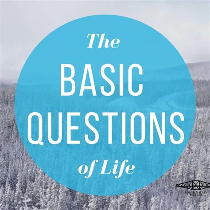 What are the basic questions of finance?
