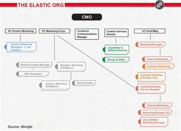 What are the common forms of marketing organization?