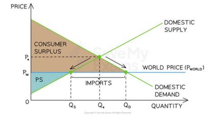 What are the cost and benefits of free trade?