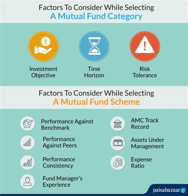 What are the criteria for selecting investments?