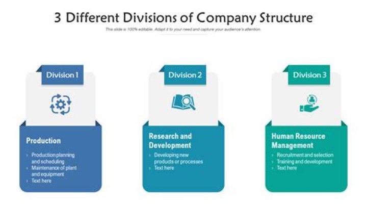 What are the different divisions of a business?