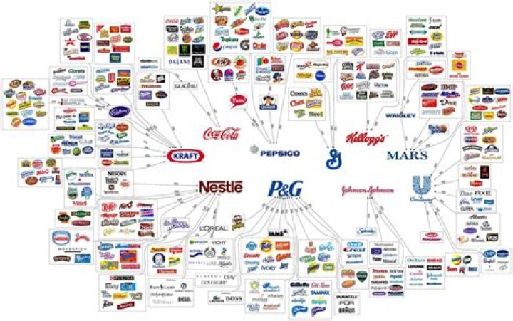 What are the disadvantages of multinationals?