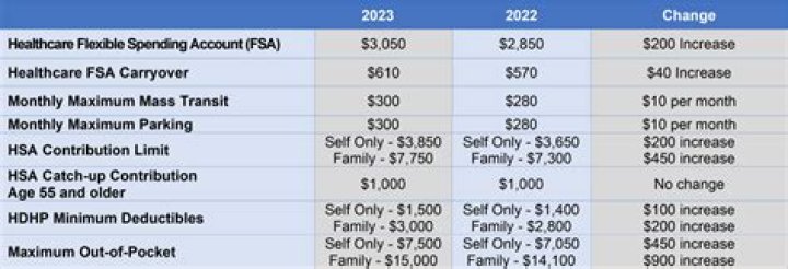 What are the FSA limits for 2021?