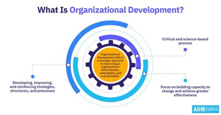 What are the interventions of organizational development?