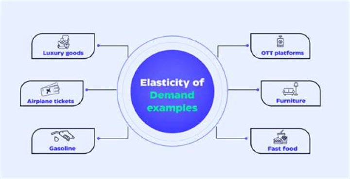 What are the real life examples for elasticity of demand?